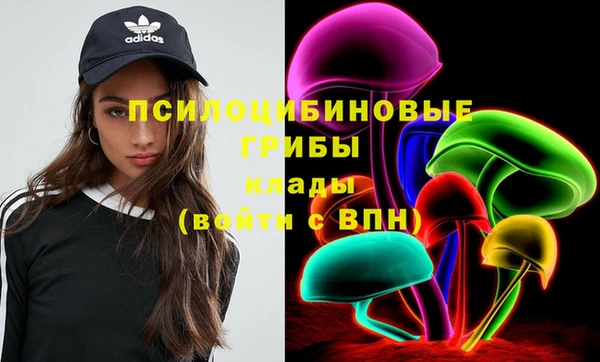 гидра Армянск
