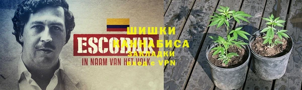 гидра Армянск